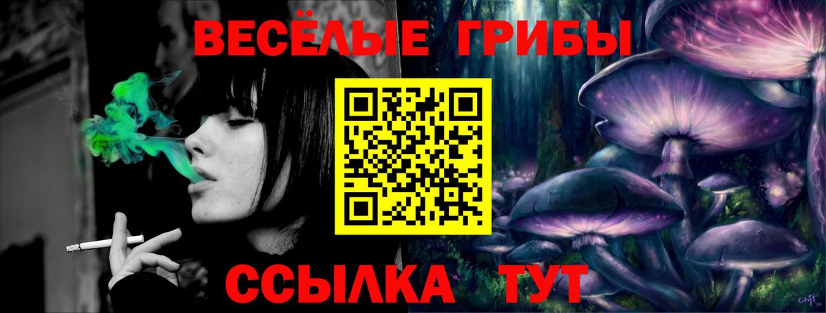 Псилоцибиновые грибы мухоморы  Псилоцибиновые грибы Magic Shrooms  Россошь  Вход с VPN 